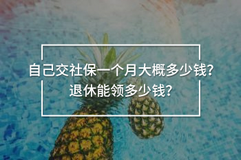 自己交社保一個月大概多少錢