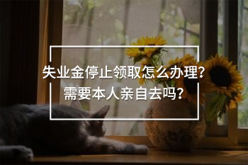 失業(yè)金停止領取怎么辦理