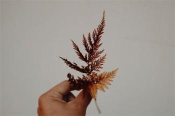 人壽退保險扣多少