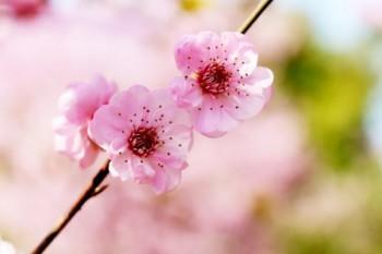 女性健康險(xiǎn)