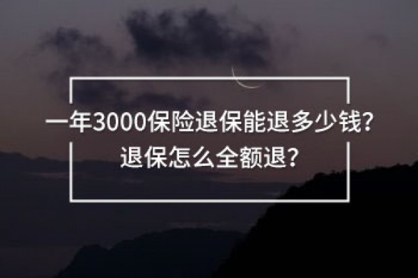 一年3000保險(xiǎn)退保能退多少錢(qián)