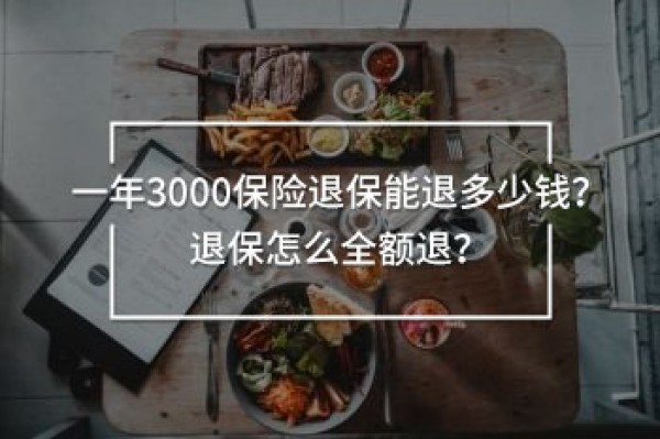 一年3000保險(xiǎn)退保能退多少錢(qián)