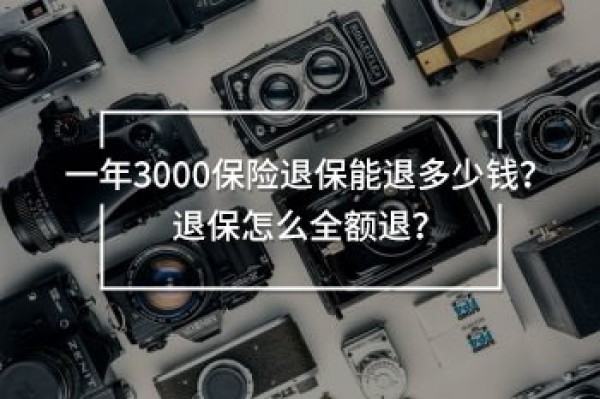 一年3000保險(xiǎn)退保能退多少錢(qián)