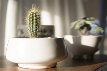 萌寶保少兒綜合意外險不能買