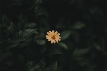 公司交五險個人扣多少錢一個月