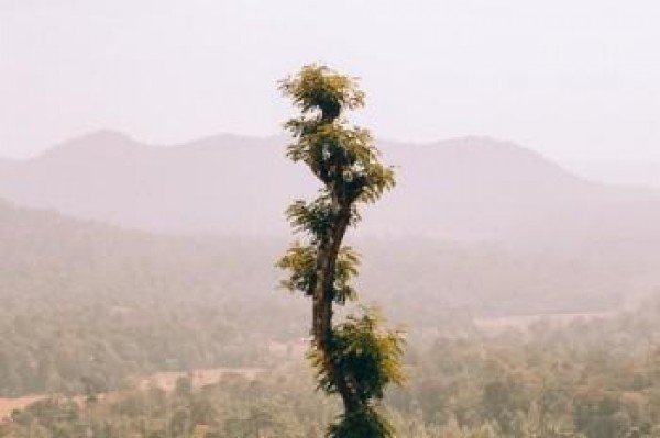 退保了,還能再續(xù)交嗎
