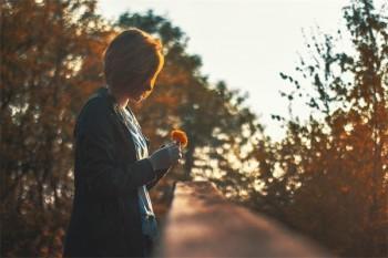 養(yǎng)老保險(xiǎn)查詢個(gè)人賬戶明細(xì)查詢