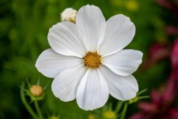 就業(yè)失業(yè)登記這有什么好處和壞處