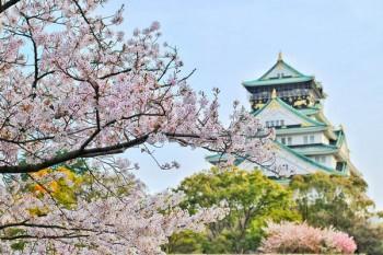 養(yǎng)老金2022年最新消息