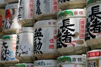 養(yǎng)老保險(xiǎn)一次性繳納
