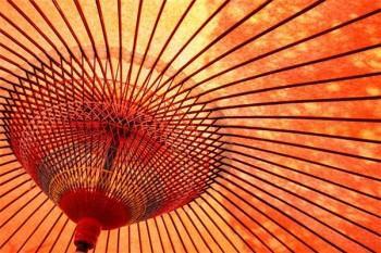 交社保最大年齡不能超過多少歲