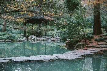 醫(yī)保怎么在手機上繳費