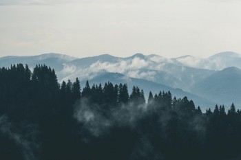 保險(xiǎn)本金能返還嗎