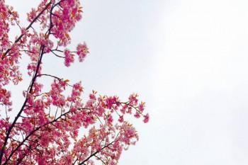 退休人員養(yǎng)老金調(diào)整