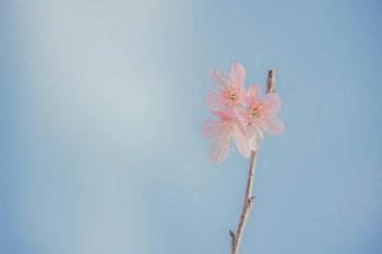沒退休死了補(bǔ)償多少錢