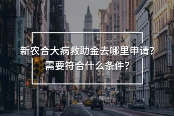 新農(nóng)合大病救助金去哪里申請