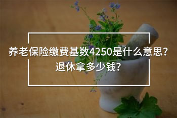 養(yǎng)老保險(xiǎn)繳費(fèi)基數(shù)4250是什么意思