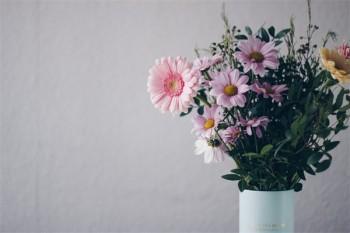 保險(xiǎn)退保是否會(huì)退一部分錢