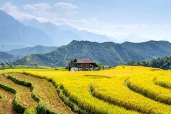 太平人壽保險(xiǎn)交幾年退保比較劃算