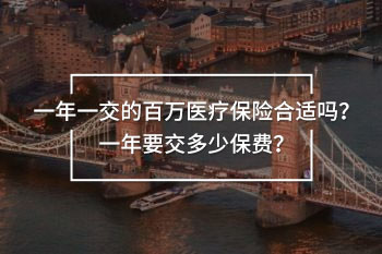 一年一交的百萬醫(yī)療保險合適嗎