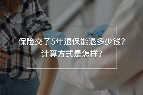 保險(xiǎn)交了5年退保能退多少錢(qián)計(jì)算