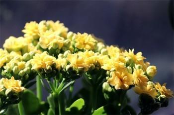 保費交了沒簽字如何退保