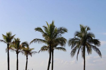 為什么現(xiàn)在退休醫(yī)保就交15年就可以了