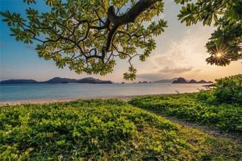 分紅型保險附加重疾險能退保嗎