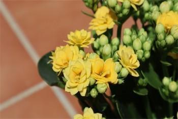 小額醫(yī)療險哪個產(chǎn)品好