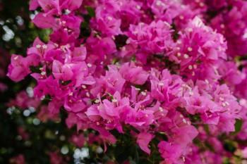 哪個(gè)保險(xiǎn)公司最好