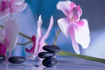 華泰保險(xiǎn)退保流程