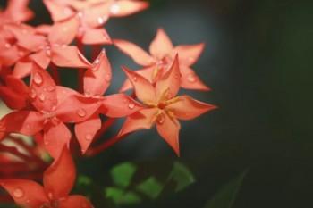 2022年養(yǎng)老金補(bǔ)繳新政策
