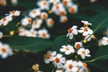 壽險(xiǎn)多少錢