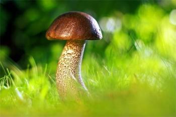 保險交了8年退保合適嗎