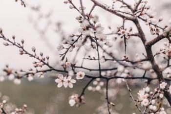 異地就醫(yī)備案網(wǎng)上辦理流程