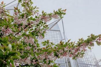 平安百萬醫(yī)療e生保2022版保費