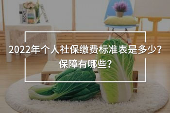 2022年個人社保繳費標準表