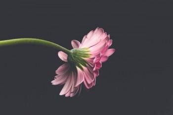 養(yǎng)老保險(xiǎn)單位和個(gè)人繳費(fèi)比例
