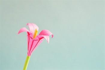 百萬醫(yī)療包括意外醫(yī)療嗎