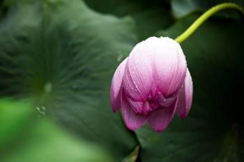 太平洋保險(xiǎn)百萬醫(yī)療險(xiǎn)多少錢