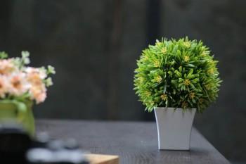 退保一般需要多長(zhǎng)時(shí)間