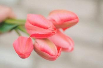新華保險(xiǎn)到期退保流程