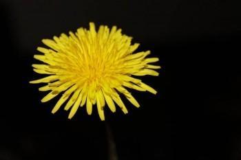 保險(xiǎn)斷交一年能退保嗎