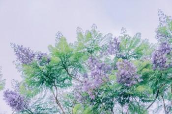 保險<a href=