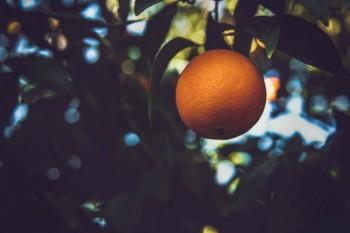 養(yǎng)老金交15年能領多少錢一個月？能領多久？