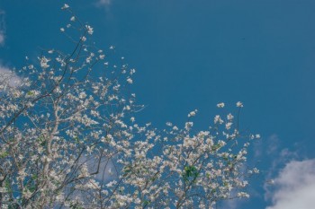 <a href=