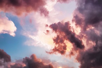 太平洋2017金佑人生交了16000退保