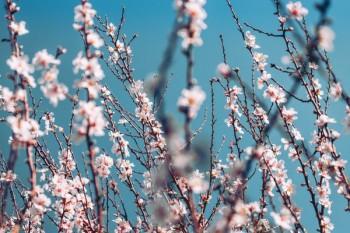 保險(xiǎn)斷交可以退保嗎