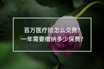 百萬醫(yī)療險(xiǎn)怎么交費(fèi)