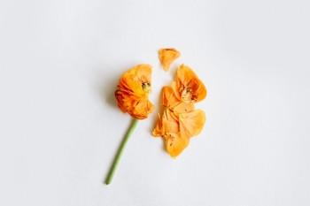人壽分紅保險10年交滿可以退保嗎？退保方式是什么？	
